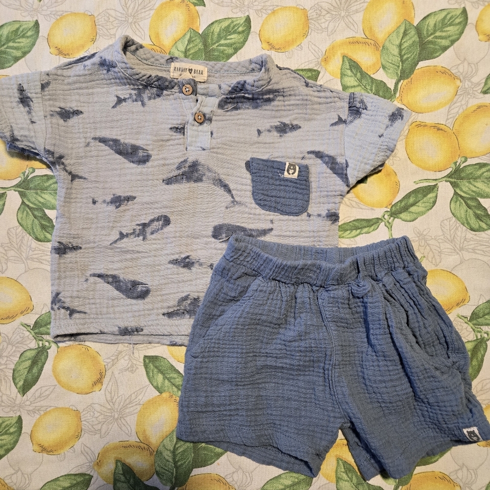 rabbit + bear 3t boy matching set